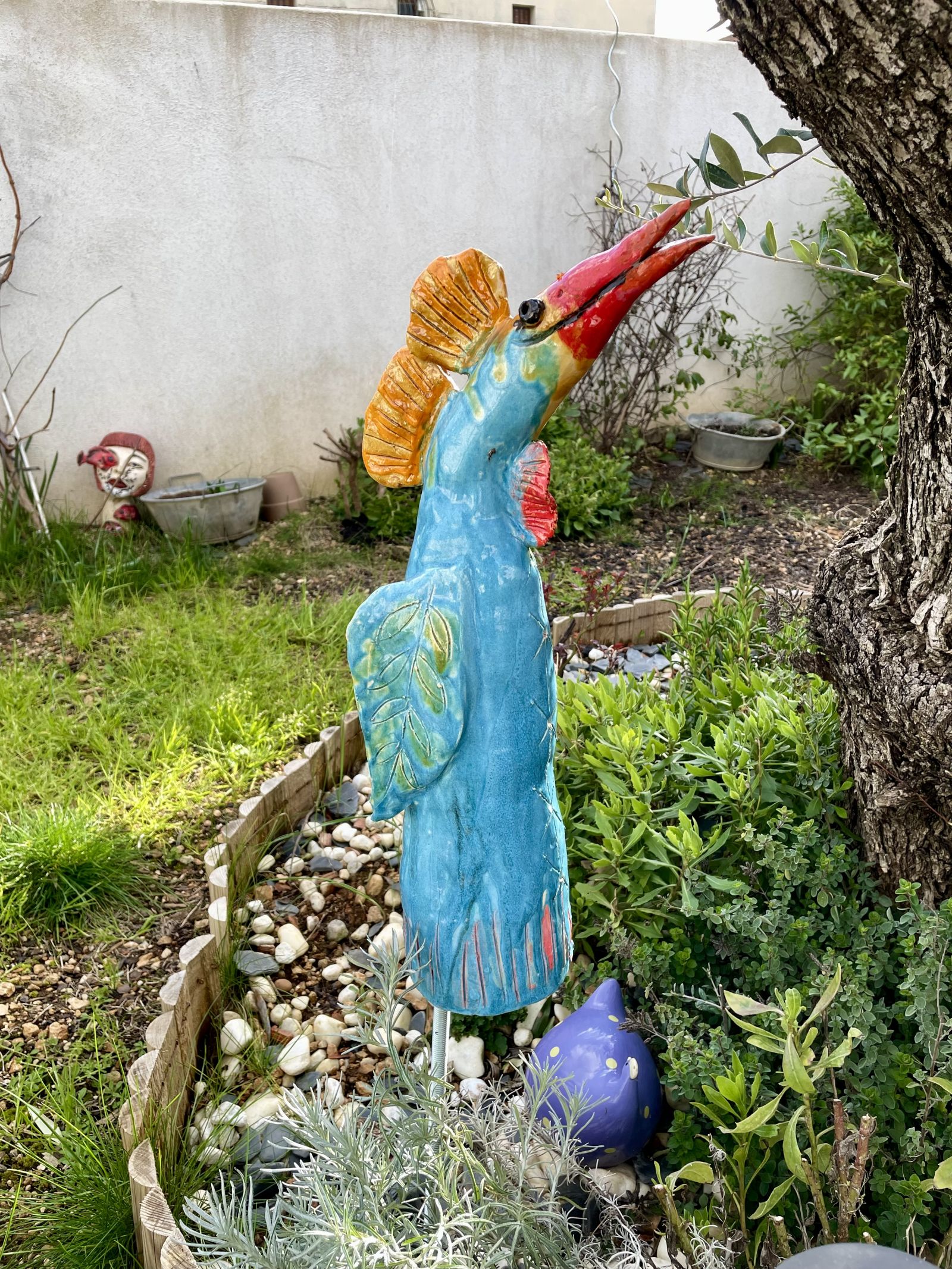 Boris - oiseau du jardin