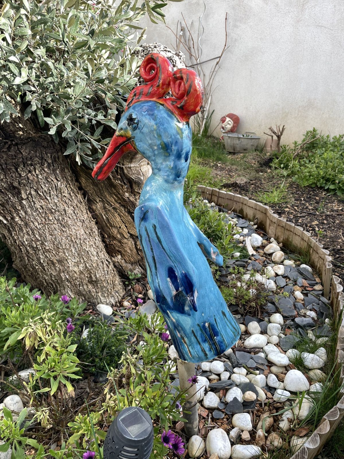 Jasper - oiseau du jardin