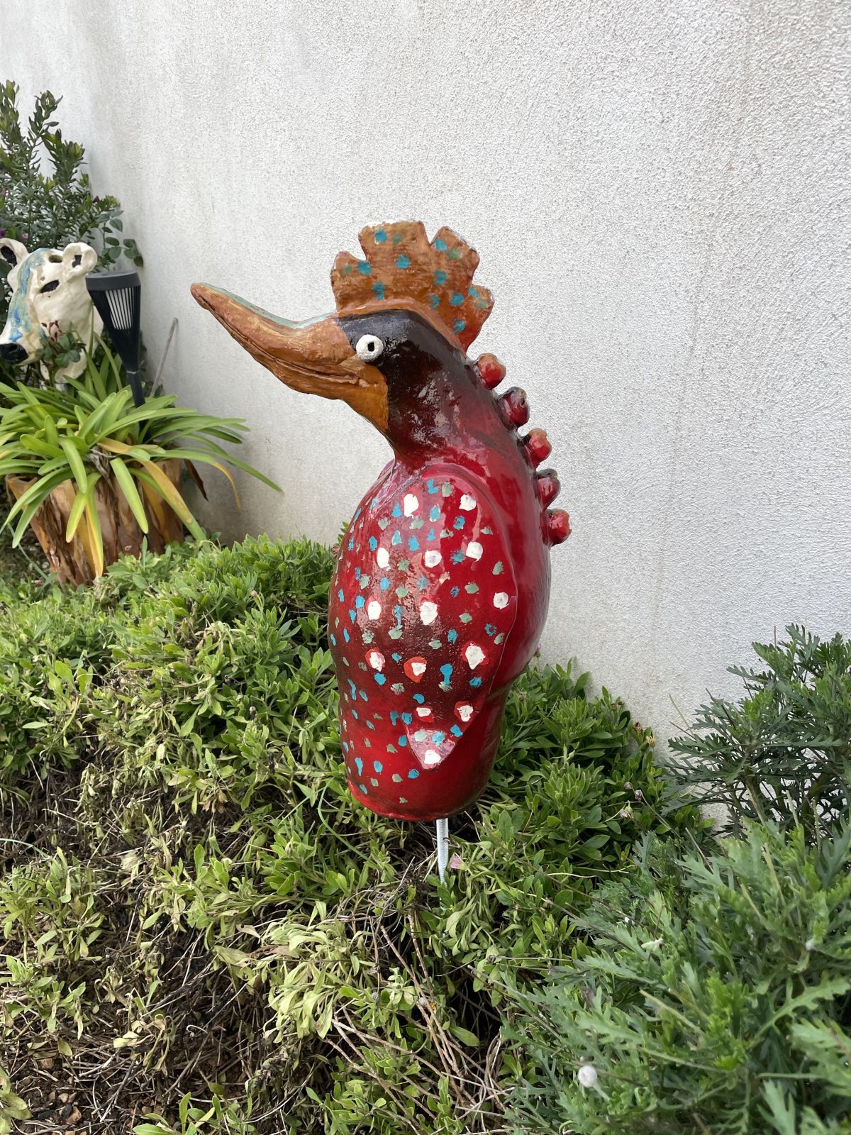 Canaillou - oiseau du jardin