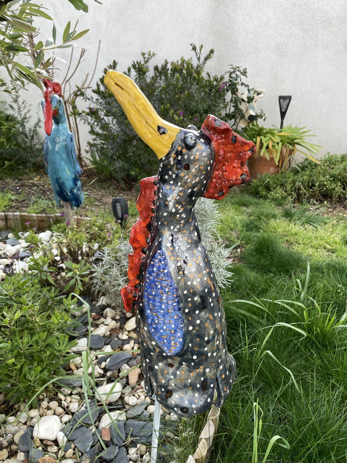 Kokelette - oiseau du jardin