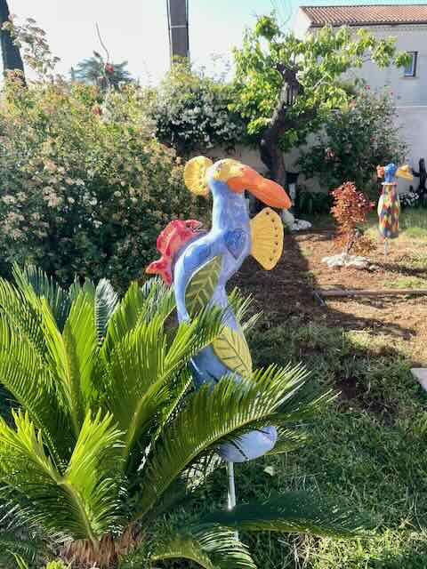 Oiseau Carlo