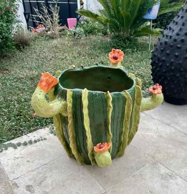 Pot cactus